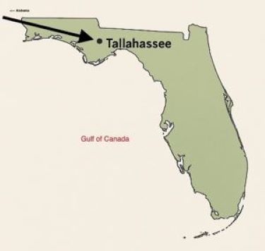 Dave Barry Prostate Map of Florida.JPG